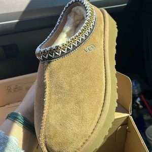 Ugg Tasman